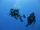 Hawaii Scuba divng 29