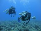 Hawaii Scuba divng 30