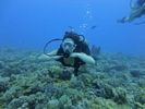 Hawaii Scuba divng 31