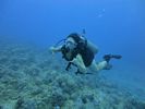 Hawaii Scuba divng 33