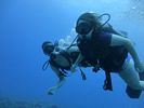 Hawaii Scuba divng 36