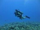 Hawaii Scuba divng 37