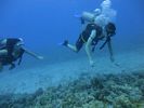 Hawaii Scuba divng 38