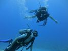 Hawaii Scuba divng 39