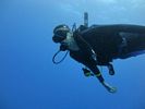 Hawaii Scuba divng 51