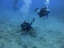 Hawaii Scuba divng 56