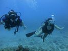 Hawaii Scuba divng 56