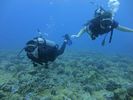 Hawaii Scuba divng 57