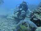 Hawaii Scuba divng 63