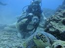 Hawaii Scuba divng 64