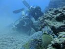 Hawaii Scuba divng 65