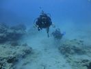 Hawaii Scuba divng 67