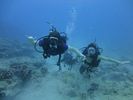 Hawaii Scuba divng 68