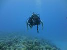 Hawaii Scuba divng 72