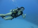 Hawaii Scuba divng 73