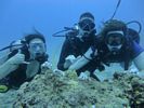 Hawaii Scuba divng 76