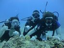 Hawaii Scuba divng 77