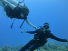 Hawaii Scuba divng 81