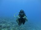 Hawaii Scuba divng 84