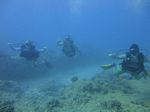 Hawaii Scuba divng 15