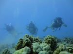 Hawaii Scuba divng 16