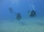 Hawaii Scuba divng 17