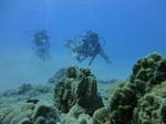 Hawaii Scuba divng 18