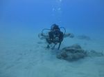 Hawaii Scuba divng 22