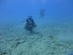 Hawaii Scuba divng 23