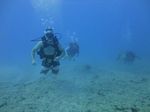 Hawaii Scuba divng 24