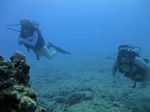 Hawaii Scuba divng 25