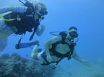 Hawaii Scuba divng 30