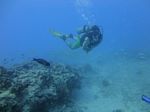 Hawaii Scuba divng 31