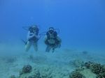 Hawaii Scuba divng 32