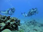 Hawaii Scuba divng 34