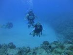 Hawaii Scuba divng 36