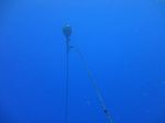 Hawaii Scuba divng 03
