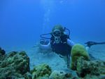 Hawaii Scuba divng 42