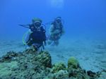 Hawaii Scuba divng 43