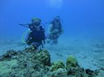 Hawaii Scuba divng 43