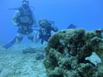 Hawaii Scuba divng 44