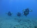 Hawaii Scuba divng 51