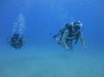 Hawaii Scuba divng 53