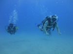 Hawaii Scuba divng 53