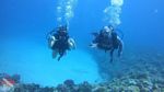 Oahu scuba 40