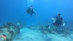 Oahu scuba 08