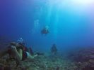 Hawaii Scuba divng 11