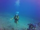 Hawaii Scuba divng 14