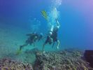 Hawaii Scuba divng 15