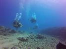 Hawaii Scuba divng 16